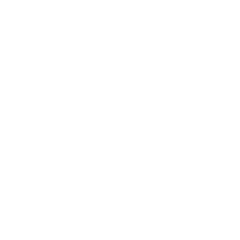 Pound icon